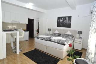 Апартаменты Apartment Jovana Nikšić Никшич Номер-студио-4