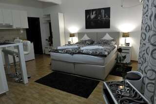 Апартаменты Apartment Jovana Nikšić Никшич Номер-студио-3